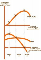 Production Stages